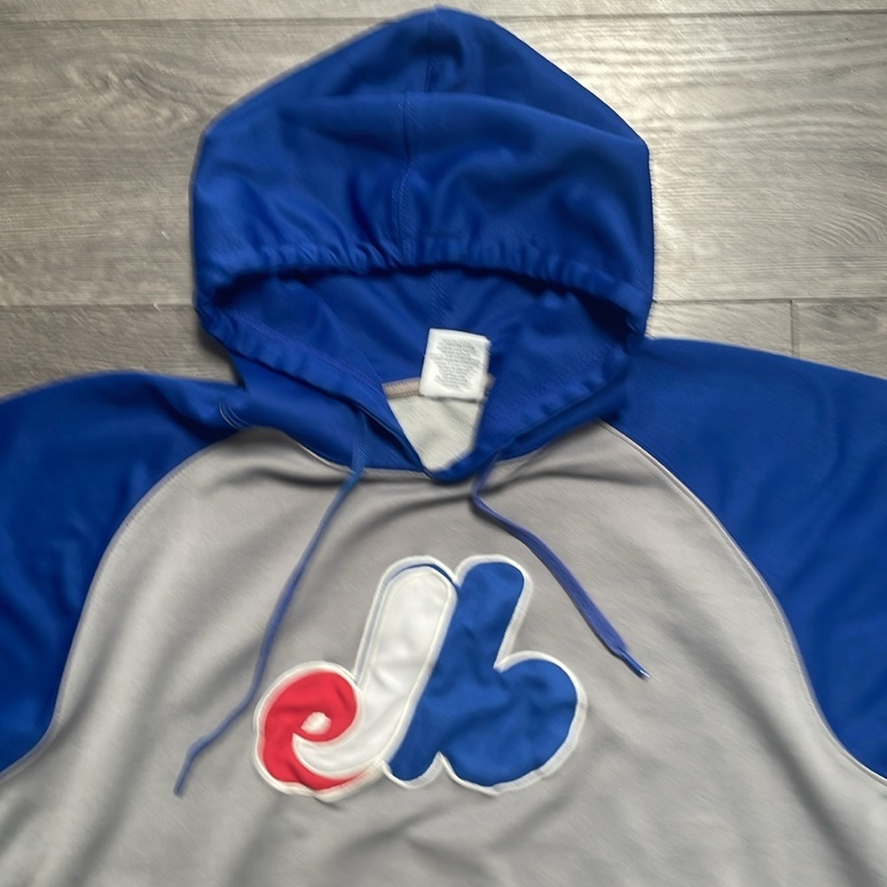 Vintage 1990s Montreal Expos Hoodie Sweater MLB Genuine Merchandise Adult - Picture 4 of 11